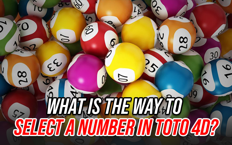 What is the Way to Select a Number in TOTO 4D?