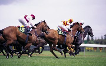 How to Bet on Derby Online?