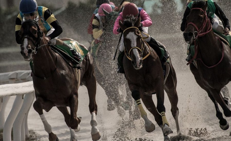Is Sport or Horse Betting Lucrative?