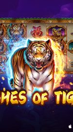 Riches of Tiger